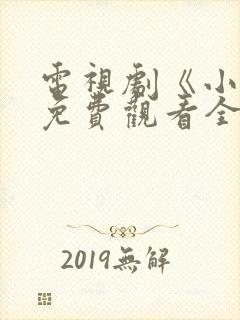 电视剧《小舅》免费观看全集高清