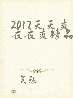 2017天天爽夜夜爽精品视频封面