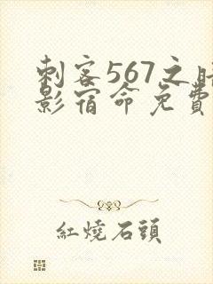 刺客567之暗影宿命免费观看封面