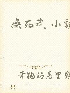 操死我 小说