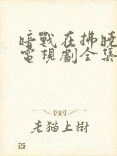 暗战在拂晓之前电视剧全集