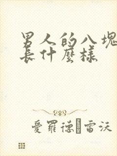 男人的八块腹肌长什么样