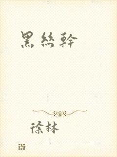 黑丝干