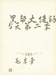 黑帮大佬的365天第二季