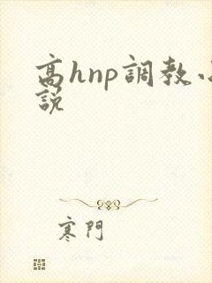 高hnp调教小说封面