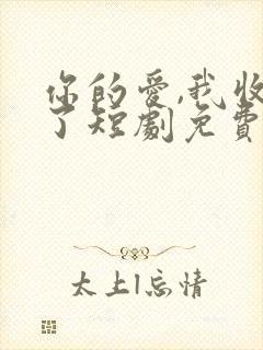 你的爱,我收回了短剧免费观看全集