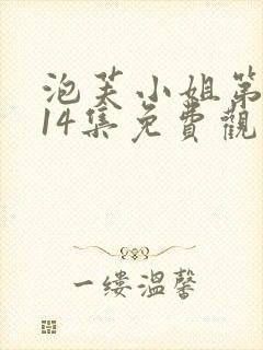 泡芙小姐第六季14集免费观看全集