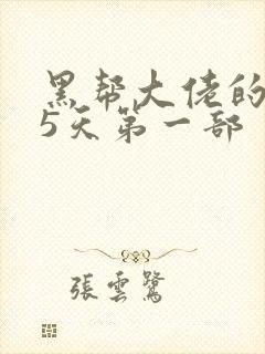 黑帮大佬的365天第一部