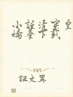 小说清穿皇妃要娇养下载