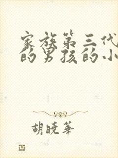 家族第三代唯一的男孩的小说