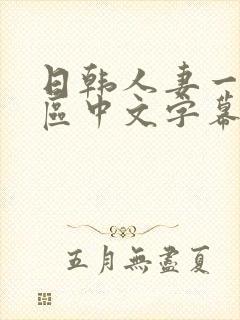 日韩人妻一区二区中文字幕封面