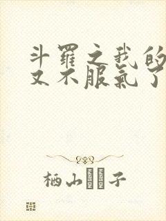 斗罗之我的系统又不服气了的小说