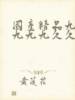 国产精品九九九九九九久久一99
