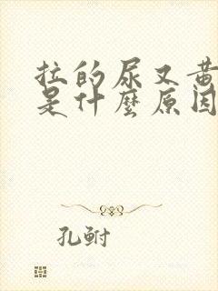 拉的尿又黄又臭是什么原因