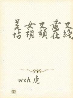 美女又黄又爽网站视频在线观看
