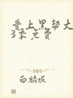 爱上黑帮大佬第3季免费