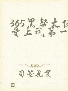365黑帮大佬爱上我第一季