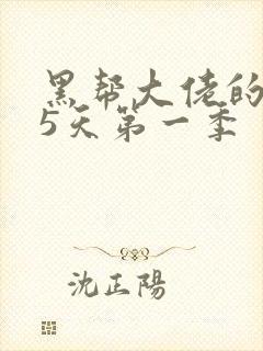 黑帮大佬的365天第一季