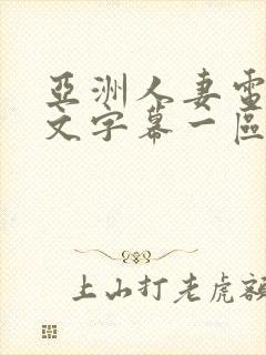 亚洲人妻电影中文字幕一区二区