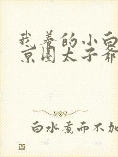 我养的小白脸是京圈太子爷免费