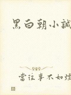 黑白朝小诚
