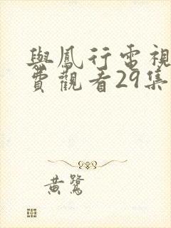 与凤行电视剧免费观看29集