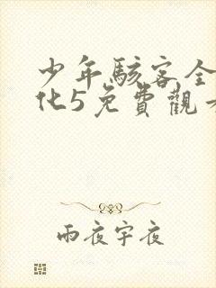少年骇客全面进化5免费观看