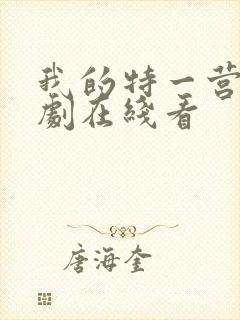 我的特一营电视剧在线看