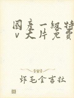 国产一级特黄aⅴ大片免费