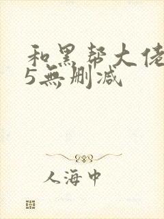 和黑帮大佬365无删减