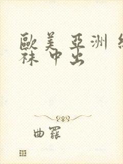 欧美 亚洲 丝袜 中出