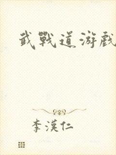 武战道游戏