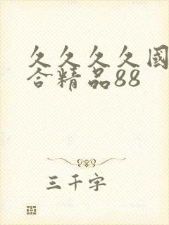 久久久久国产综合精品88