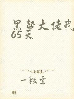 黑帮大佬我的365天封面