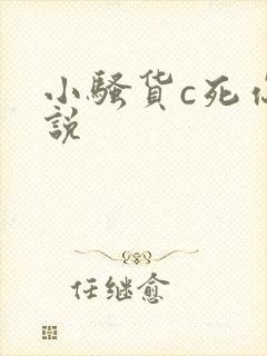 小骚货c死你小说