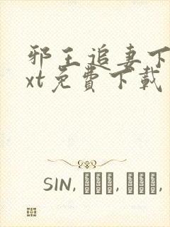 邪王追妻下载txt免费下载