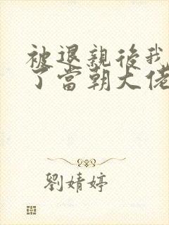 被退亲后我嫁给了当朝大佬 小说