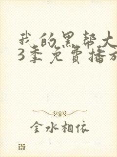 我的黑帮大佬第3季免费播放在线观看