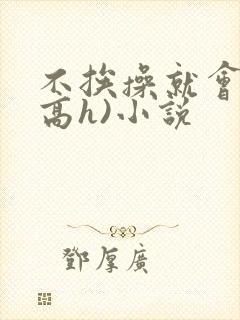 不挨操就会死(高h)小说