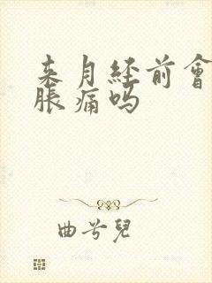 来月经前会乳房胀痛吗