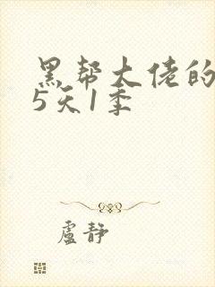 黑帮大佬的365天1季
