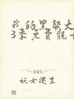 我的黑帮大佬第3季免费观看