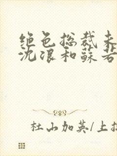 绝色总裁未婚妻沈浪和苏若雪