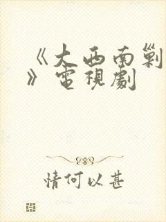 《大西南剿匪记》电视剧封面