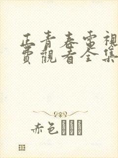正青春电视剧免费观看全集