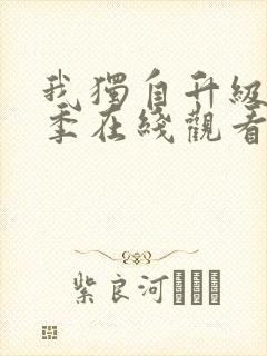 我独自升级第二季在线观看动漫