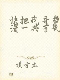快把我哥带走动漫一共有几季