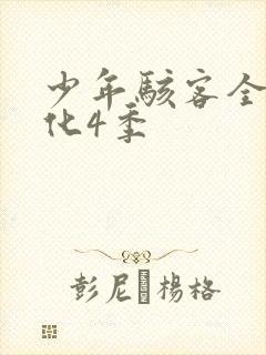 少年骇客全面进化4季封面