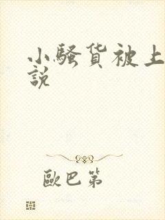 小骚货被上的小说