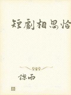 短剧相思恰相逢